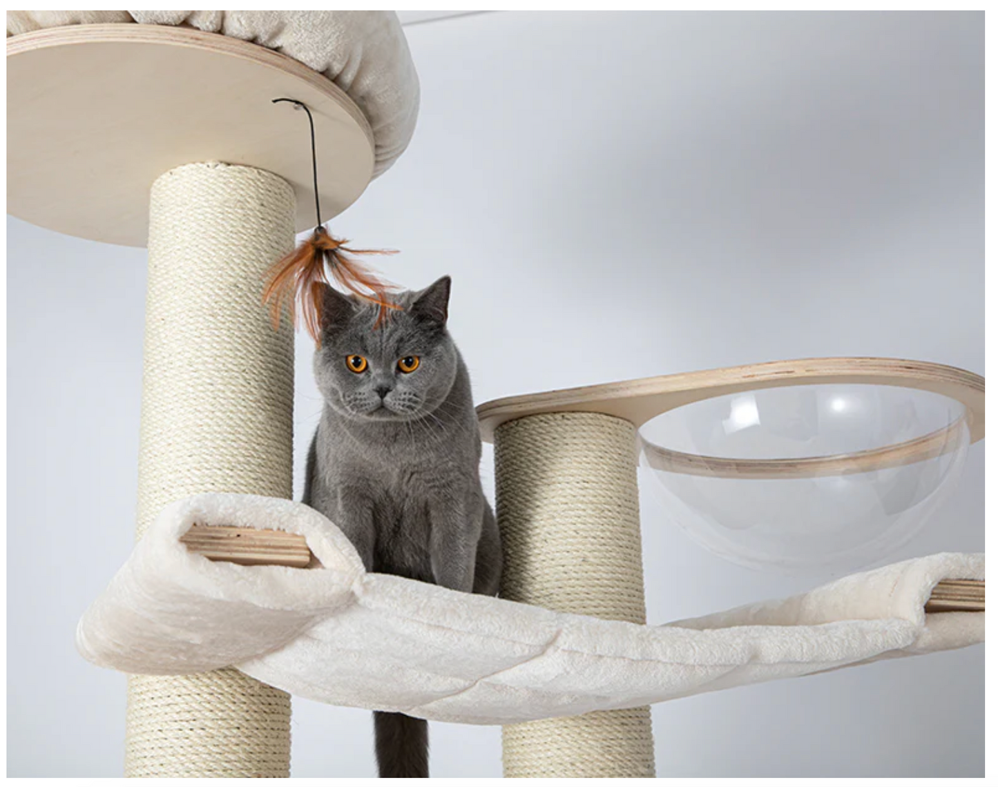 HONEYPOT CAT Solid Wood Cat Tree PRO - 2501pro+(BACK ORDER)